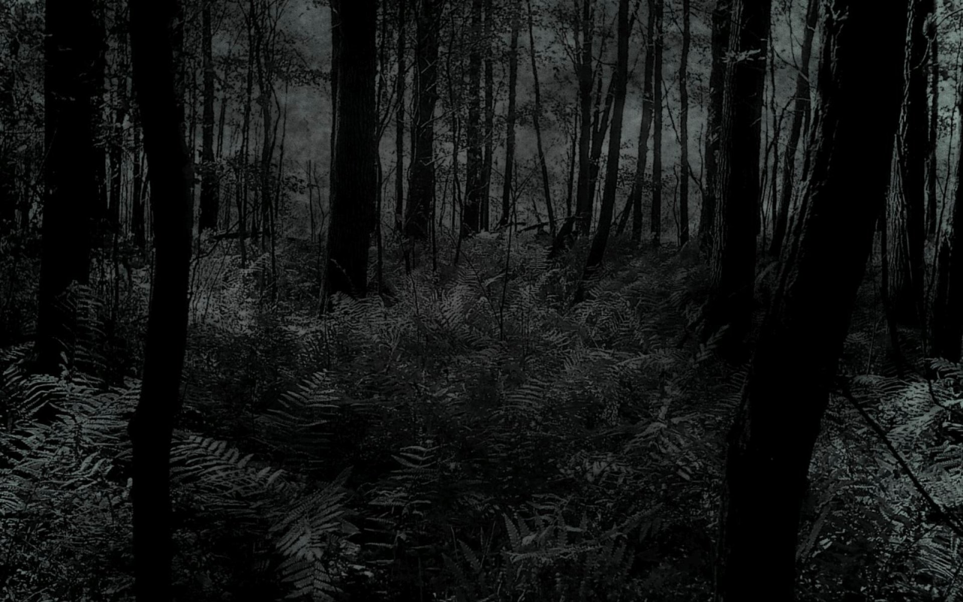 Темный лес хоррор