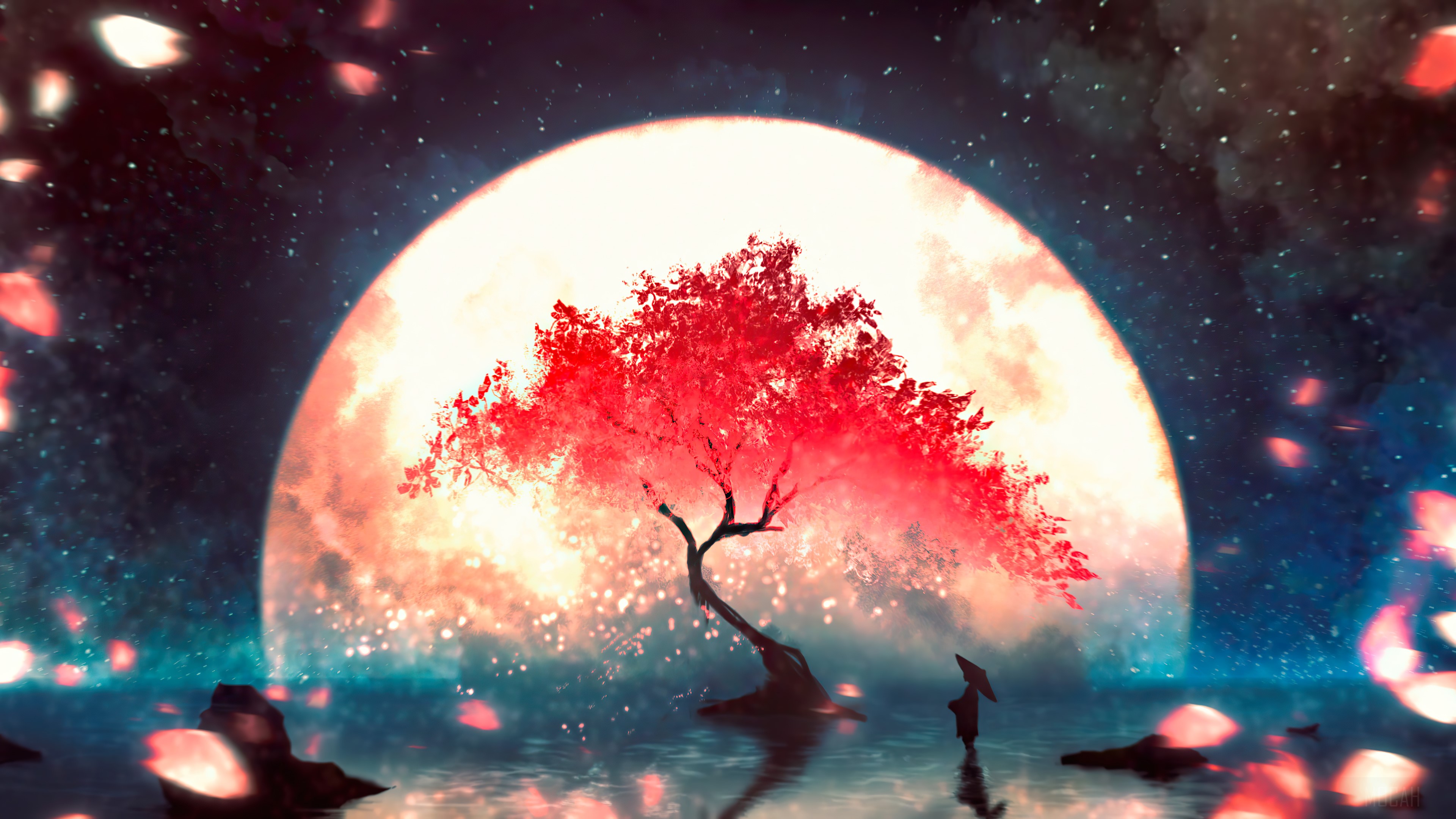 Луна и дерево Сакуры.