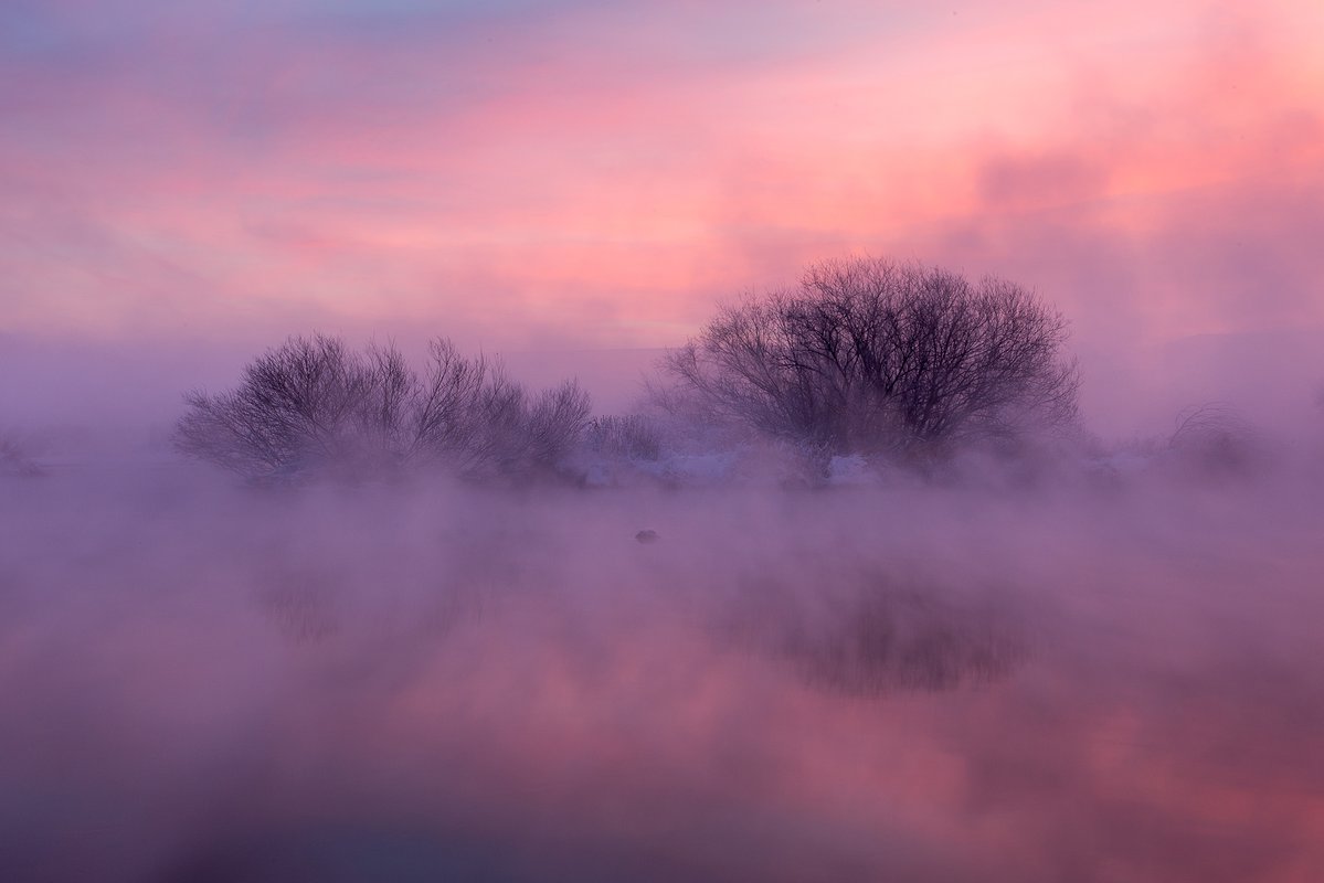 Розовый туман желтая. Туман. Туманное утро. Розовый туман. Рассвет туман.