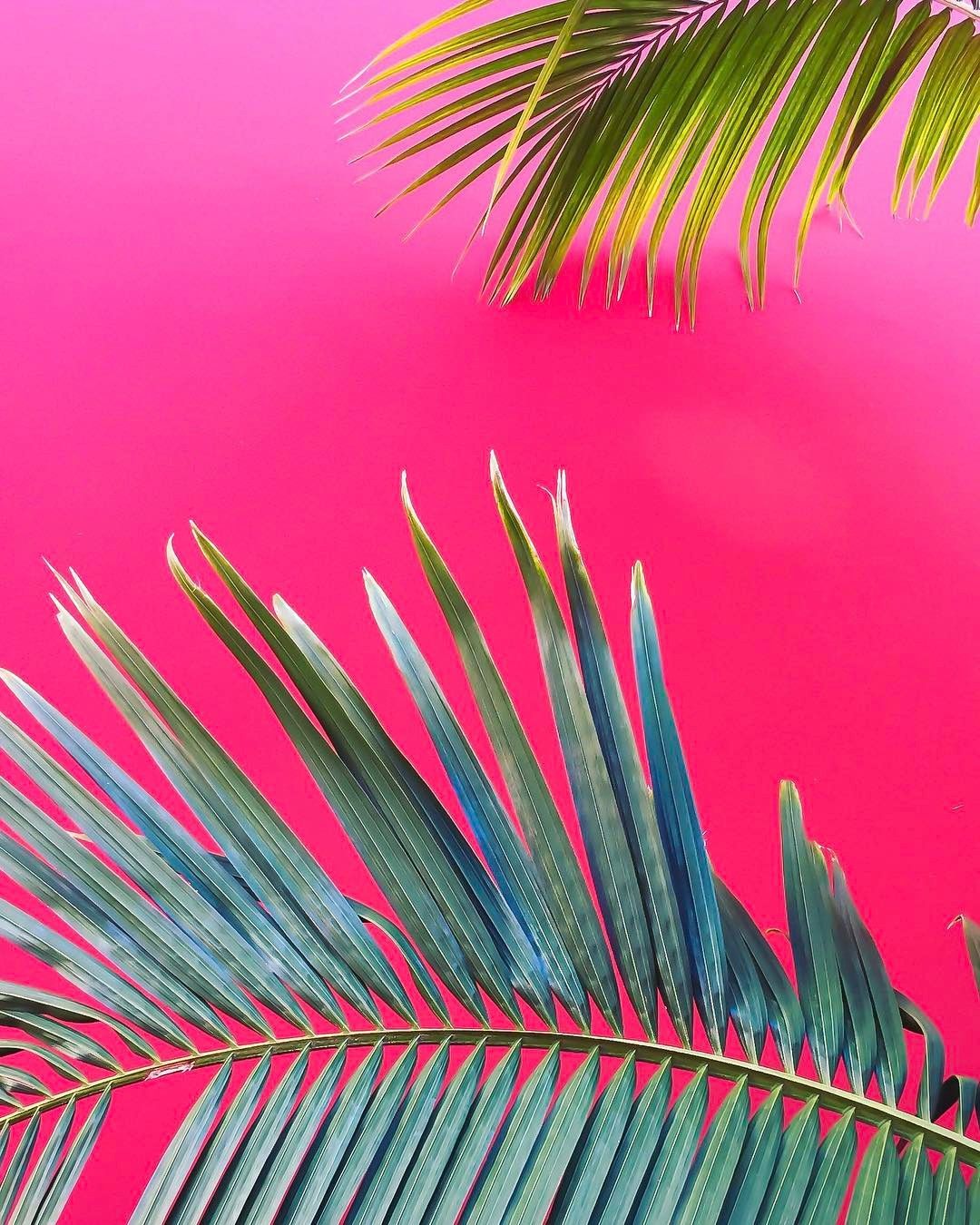 Тропический розовый