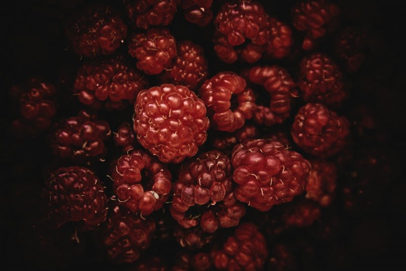 Бордовые ягоды