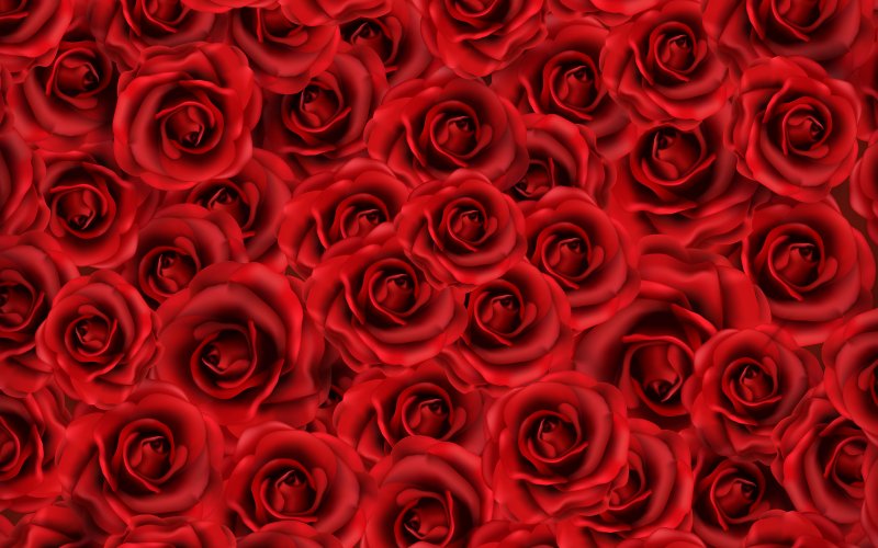 Красные розы фон для фотошопа