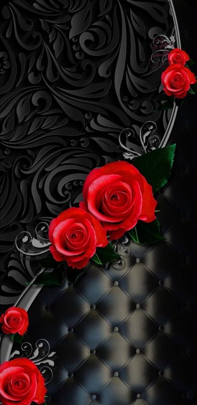 Розы на черном фоне вертикальные
