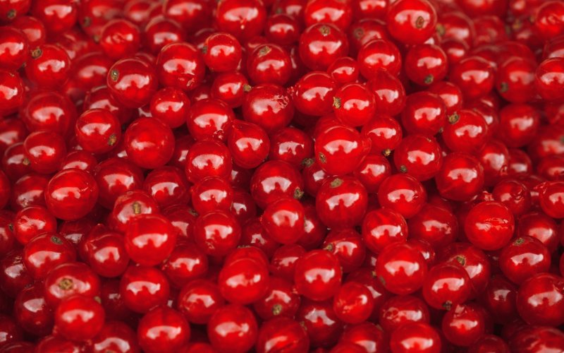 Красные ягоды
