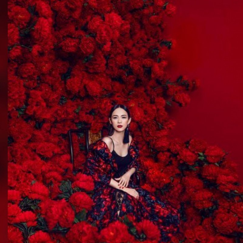 Фотосессия с красными розами