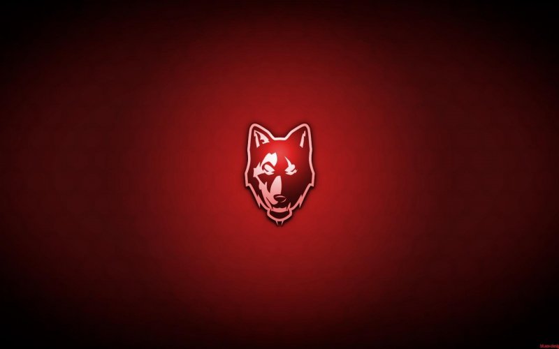 Красный волк на Красном фоне