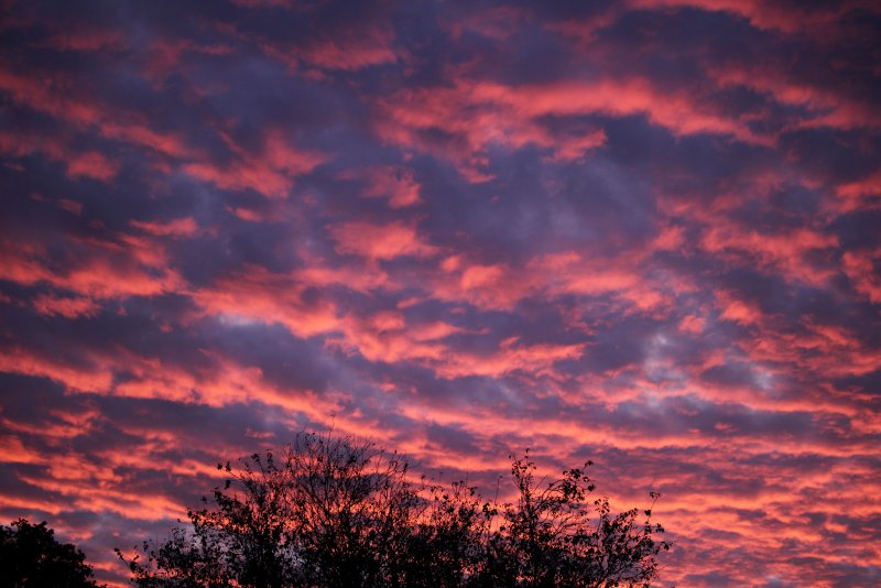 Фон красное небо (45 фото)