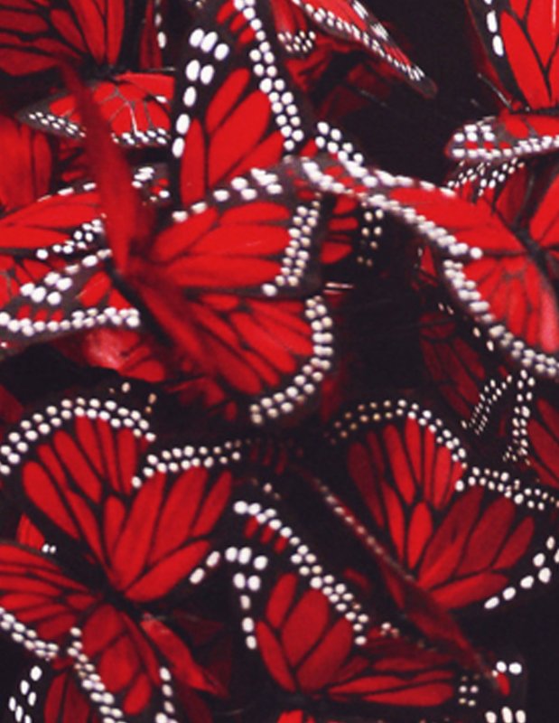 Красная бабочка Эстетика