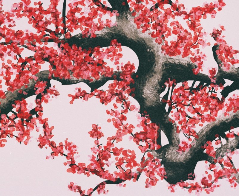 Дерево Сакура красная