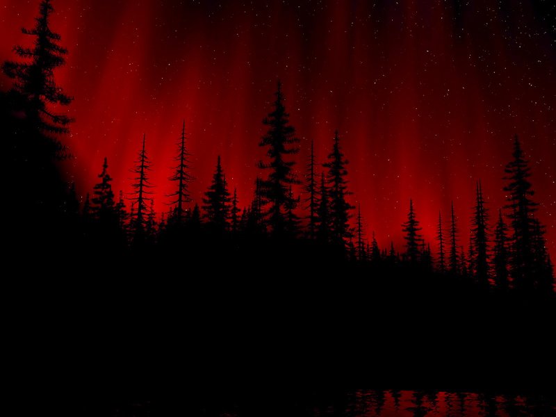 Красный лес Эстетика