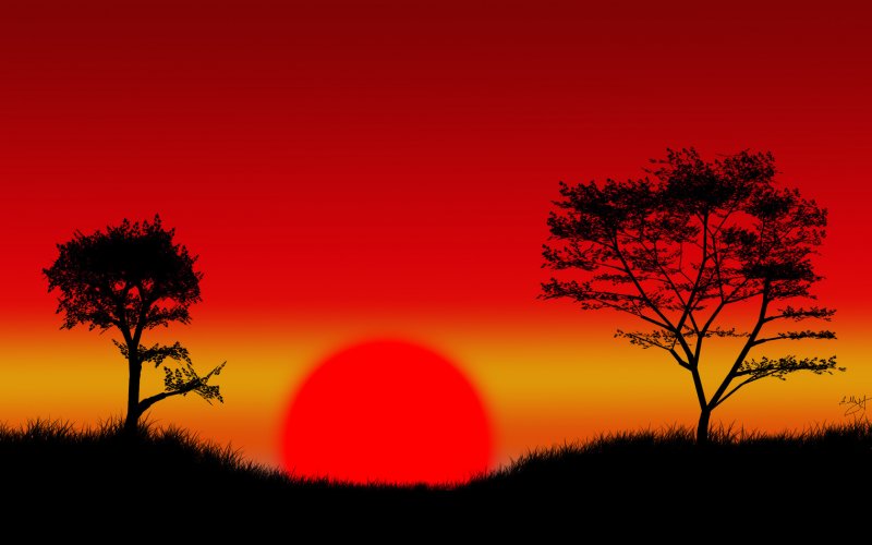 Красный закат на фоне деревьев