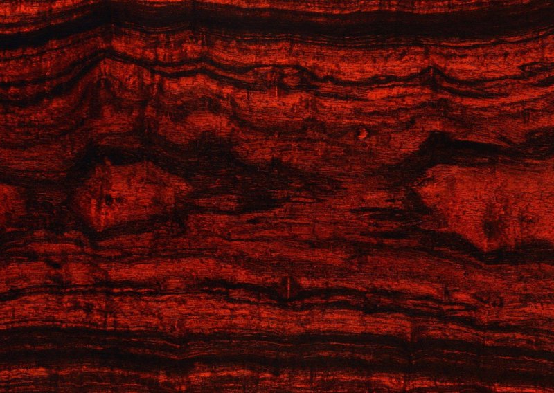 Красное дерево текстура древесины