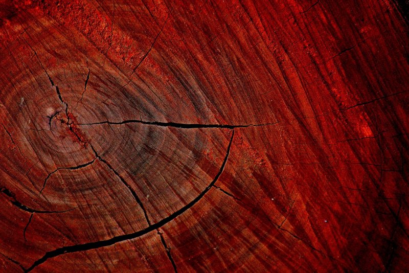 Красное дерево древесина
