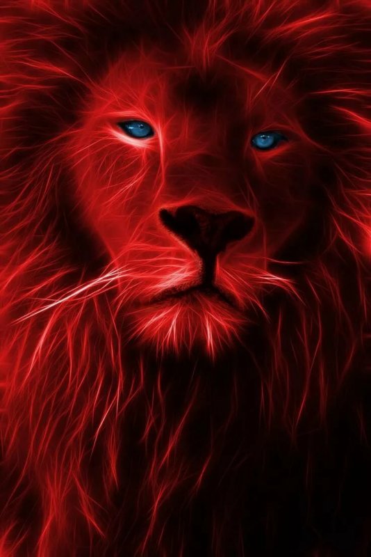 Лев в красных тонах