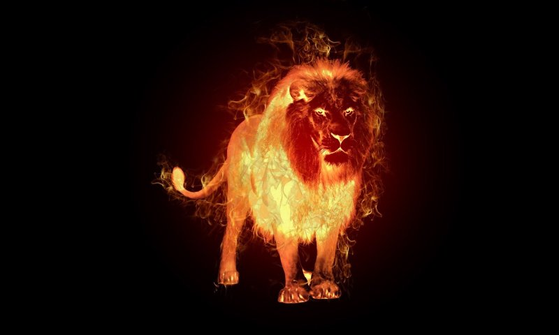 Лев Огненный знак зодиака