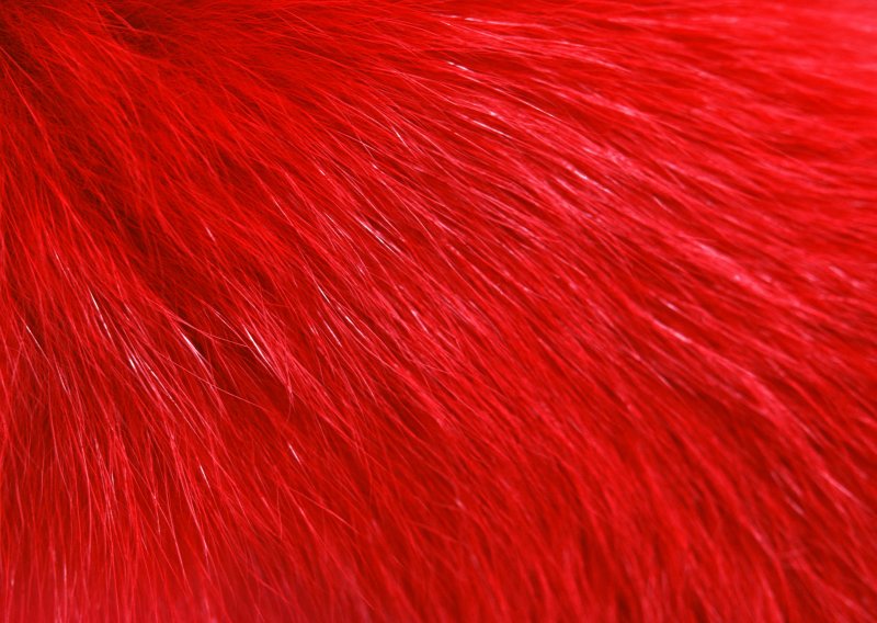 Красный мех