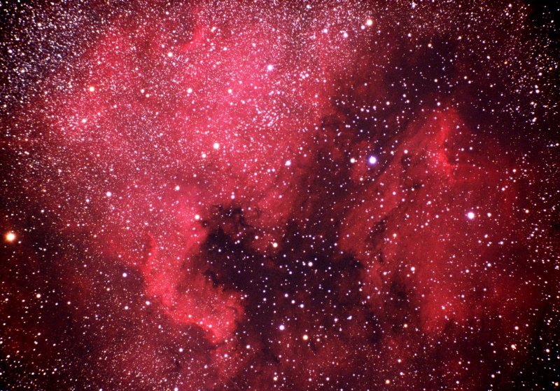 NGC 7000 Северная Америка на небе