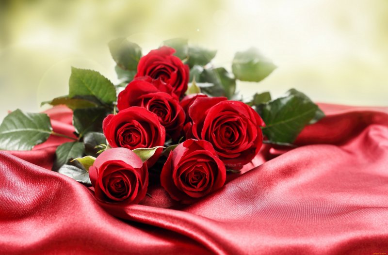 Красные розы картинки красивые