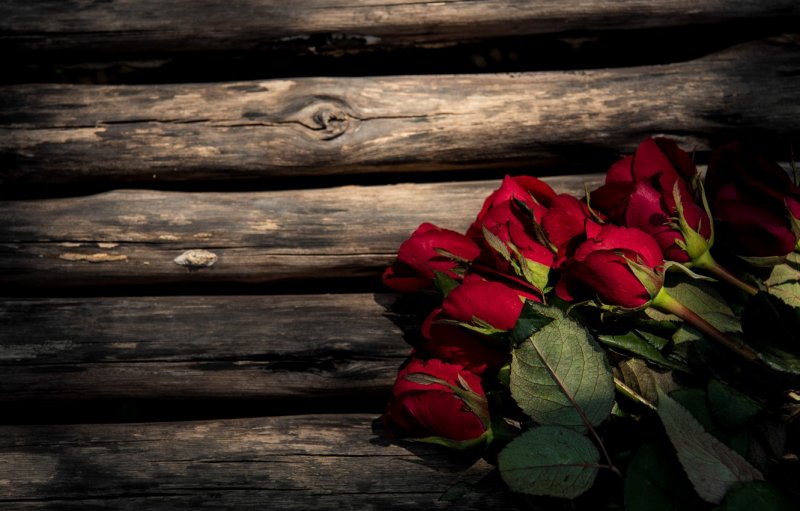 Красные розы на деревянном фоне