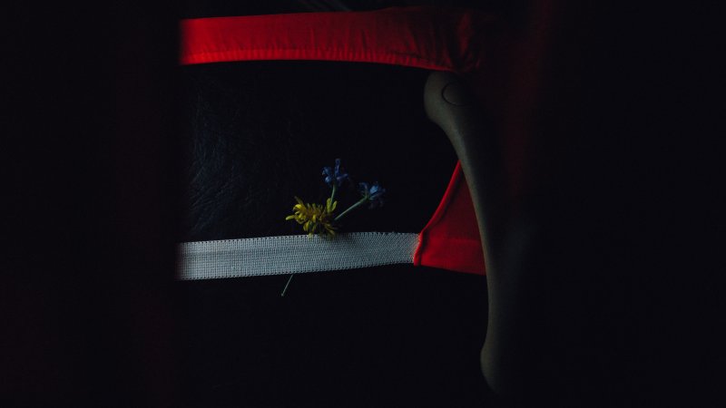 Цвета в темноте