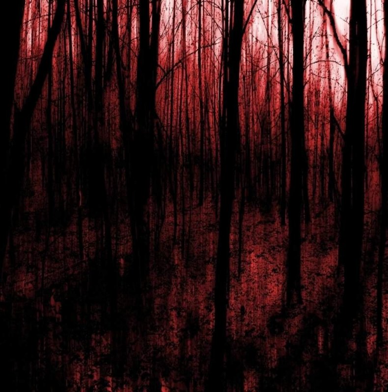 Темный лес кровь