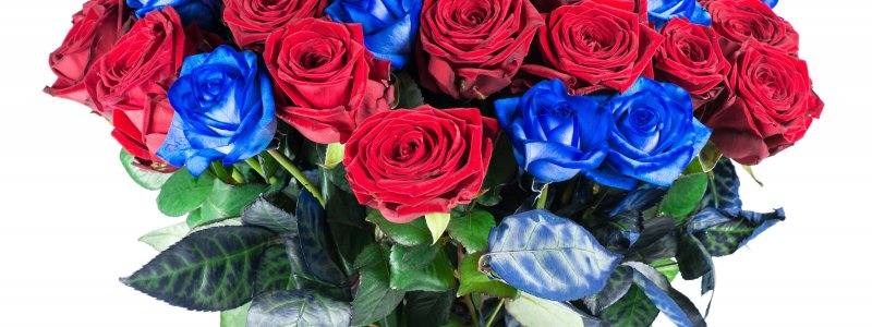 Голубые и красные розы