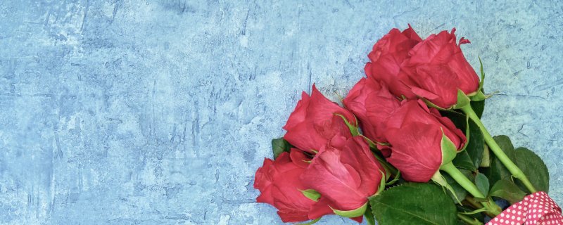 Мелкие красные розы на голубом фоне