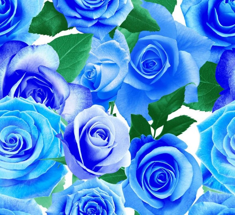 Шикарные голубые цветы