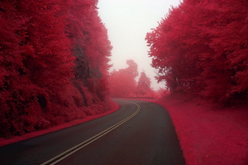 Эстетика красного цвета природа