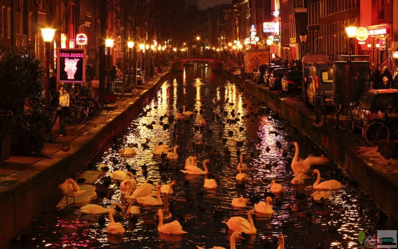 Квартал красных фонарей в Амстердаме днем