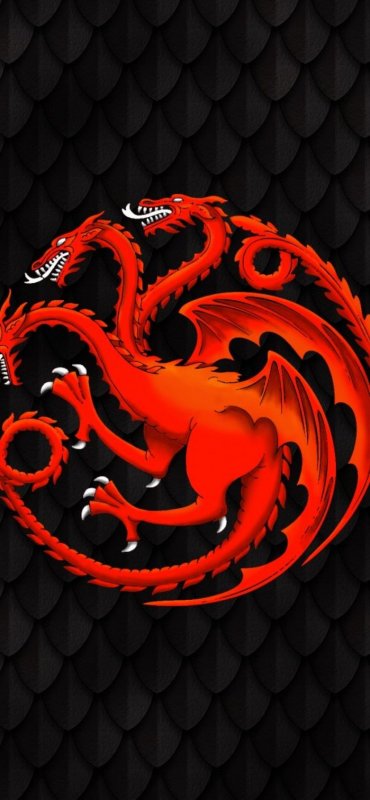 Оранжевый дракон на черном фоне