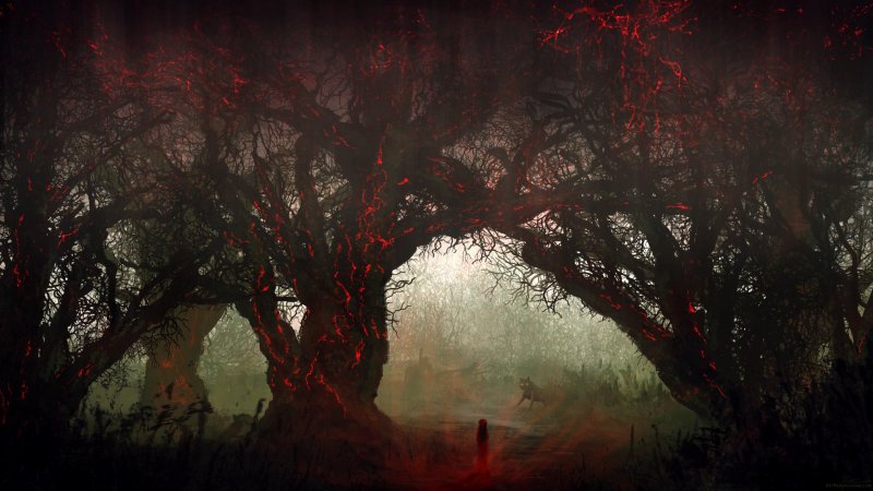 Лес темный страшный Кровавый
