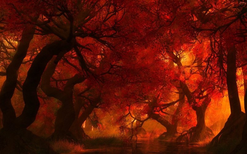 Осенние пейзажи мистические