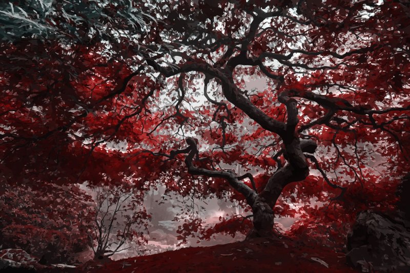 Красное дерево дерево