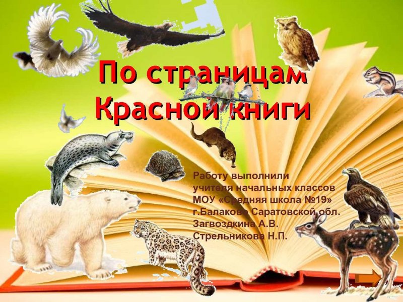 По страницам красной книги животные