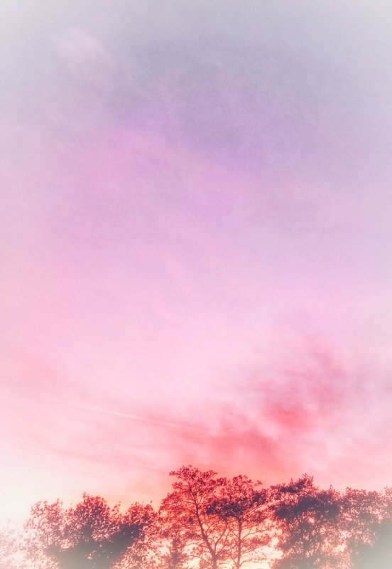 Нежное розовое небо