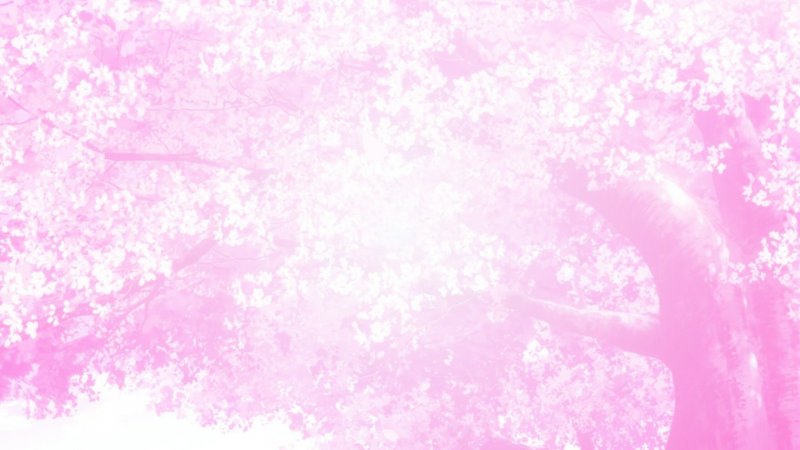 Розовый фон для фотошопа