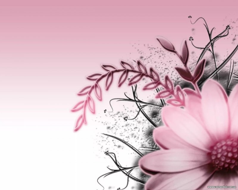 Розово серые фоны для цветов