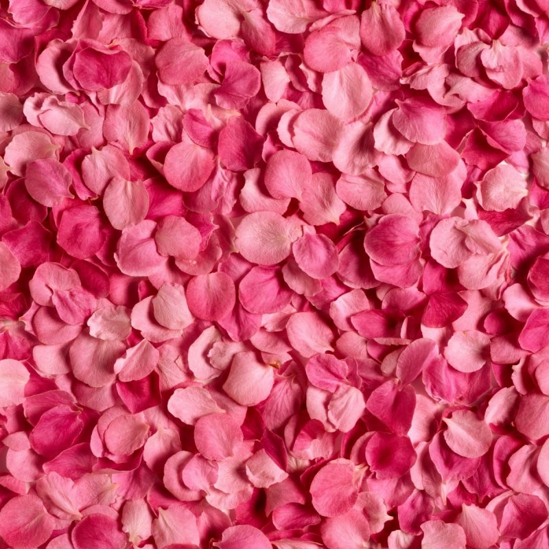 Розовые блики