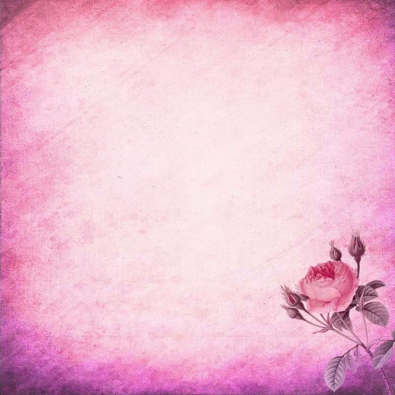 Фон лиловый розовый