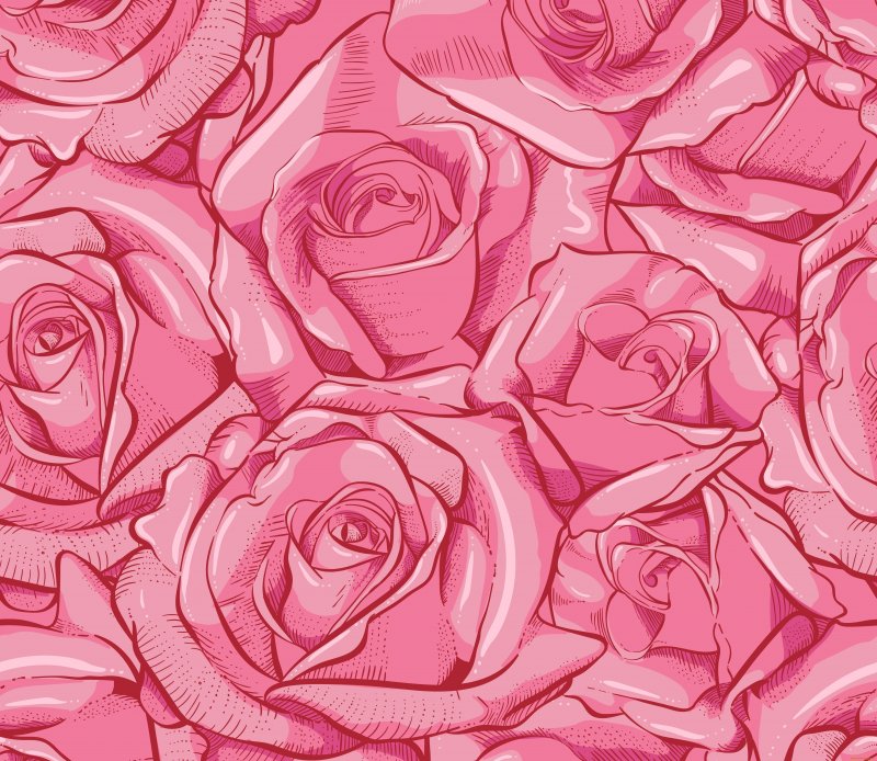 Розы розовые фон (58 фото)