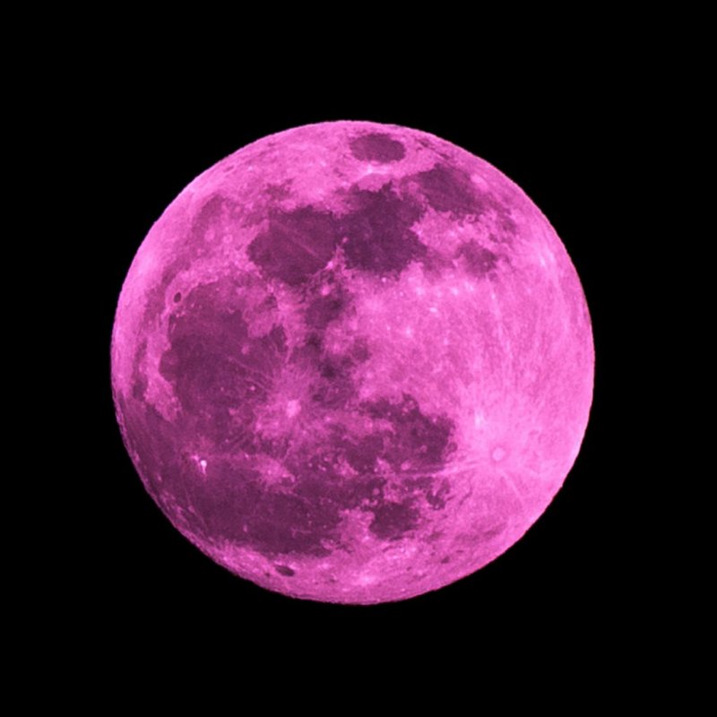 Розовая Луна выступление