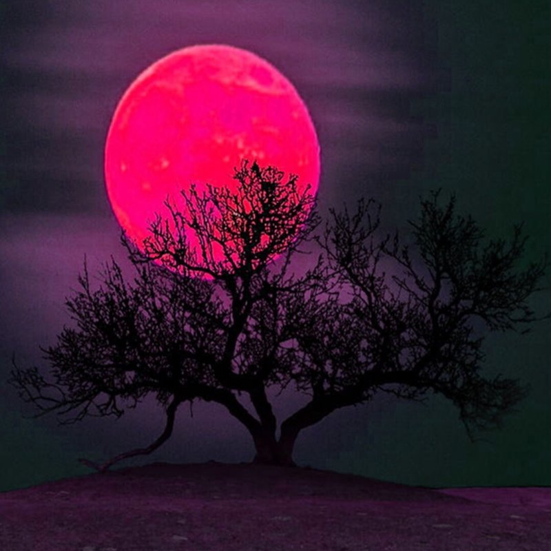 Розовая Луна арт