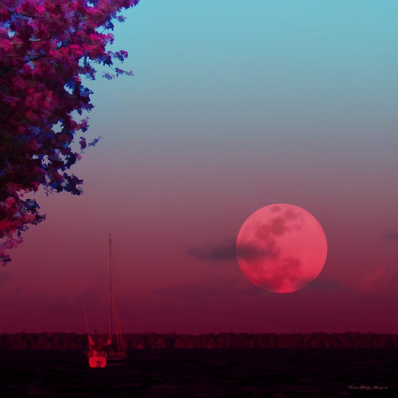 Розовый закат с луной