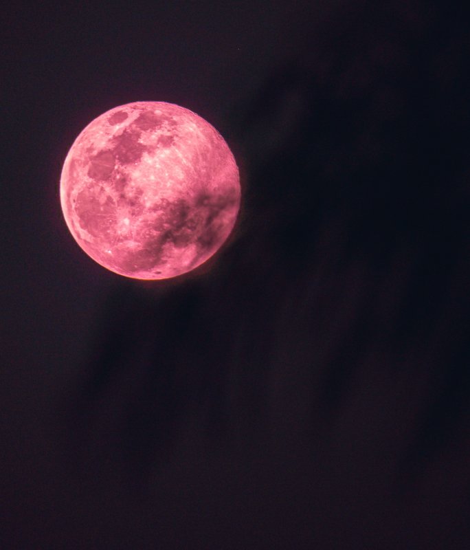 Розовая Луна в апреле