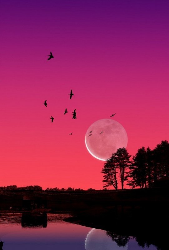 Розовая ночь с луной