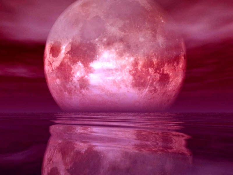 Розовая Планета
