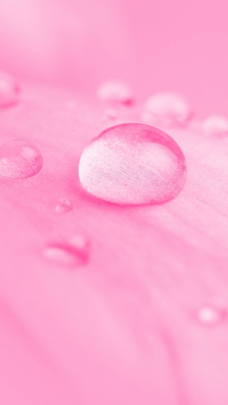 Фон на телефон розовый (77 фото)