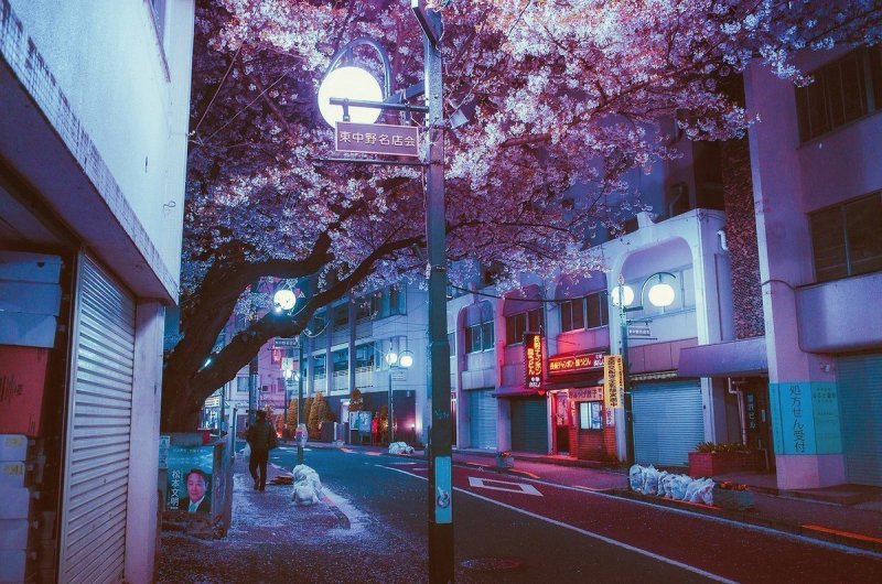 Япония Токио ночью