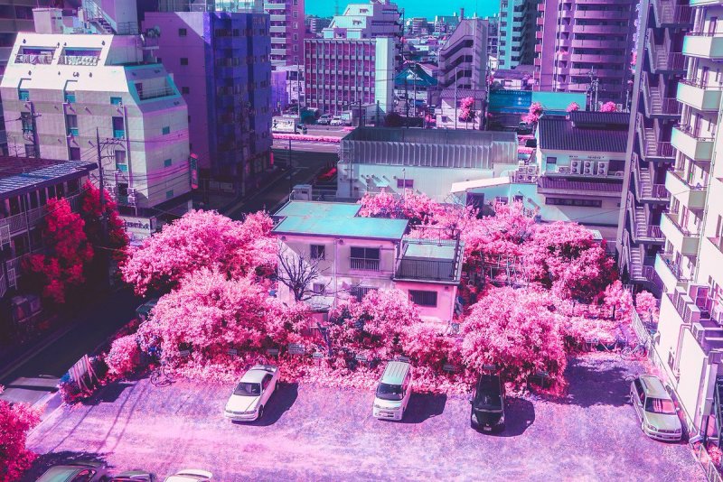 Розовый город Эстетика